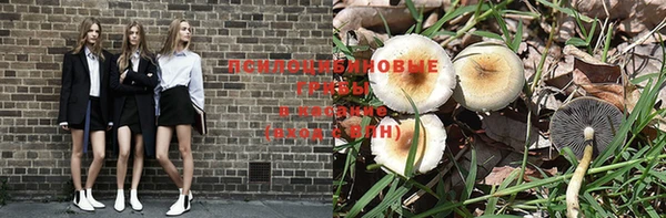 тгк Алексеевка