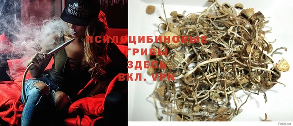 дживик Алексин